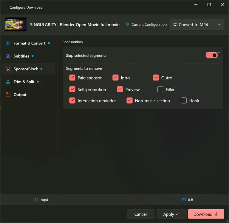 The SponsorBlock section of the Settings Download tab with nine segment types as tick boxes: paid sponsor, intro, outro, self-promotion, preview, filler, interaction reminder, non-music section and hook.