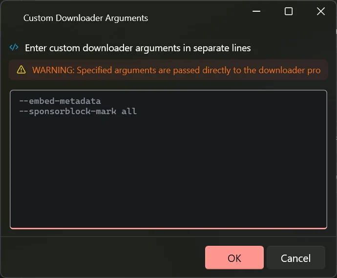 The Custom Downloader Arguments window with a warning line and two instructions typed on separate lines.