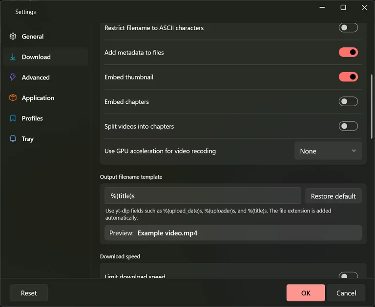 The Settings Download tab scrolled to the download options, showing the overwrite mode, the convert switches and the GPU acceleration drop-down.